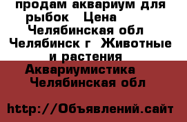 продам аквариум для рыбок › Цена ­ 500 - Челябинская обл., Челябинск г. Животные и растения » Аквариумистика   . Челябинская обл.